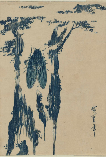 Copertina di Te