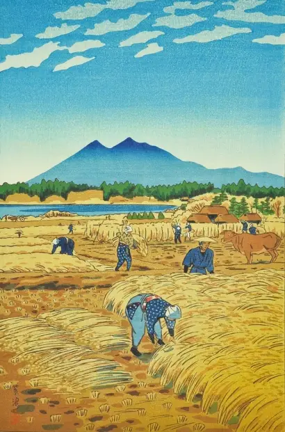 Copertina di Ciclo